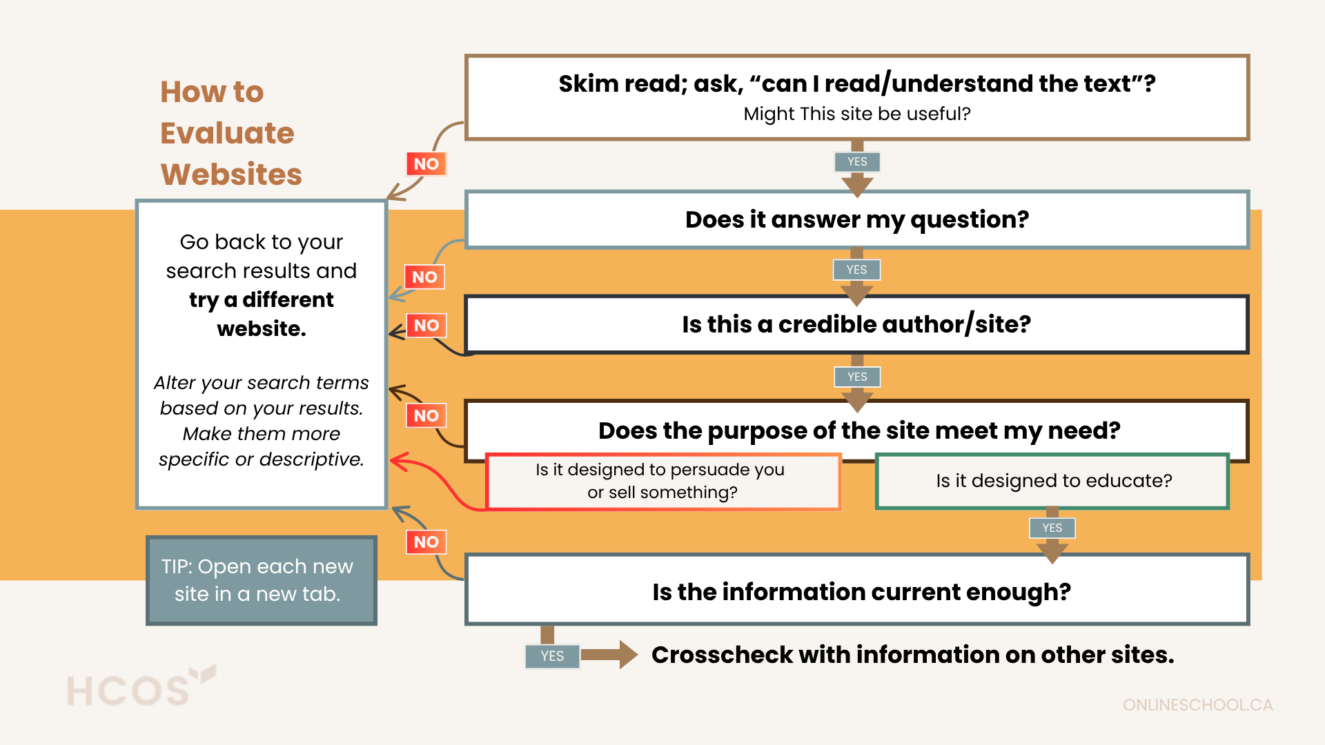 Website Evaluation Steps (2).png